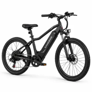 Illustration de référence — Vélo Électrique Samebike